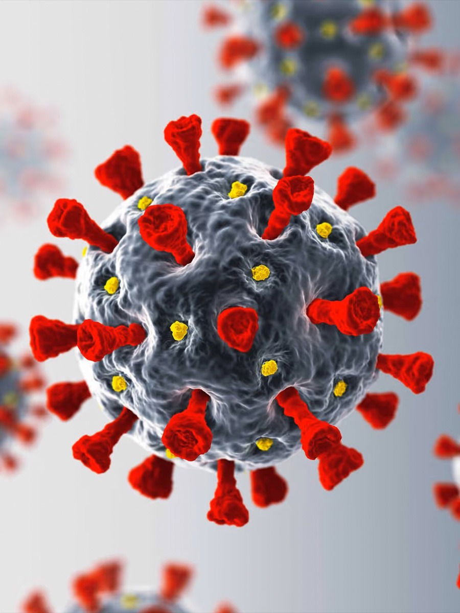 COVID-19 Cases Cross 1,000: Improve Your Immunity With These Foods - News | COVID-19 Cases Cross 1,000: Improve Your Immunity With These Foods | Latest Photos at Lokmattimes.com