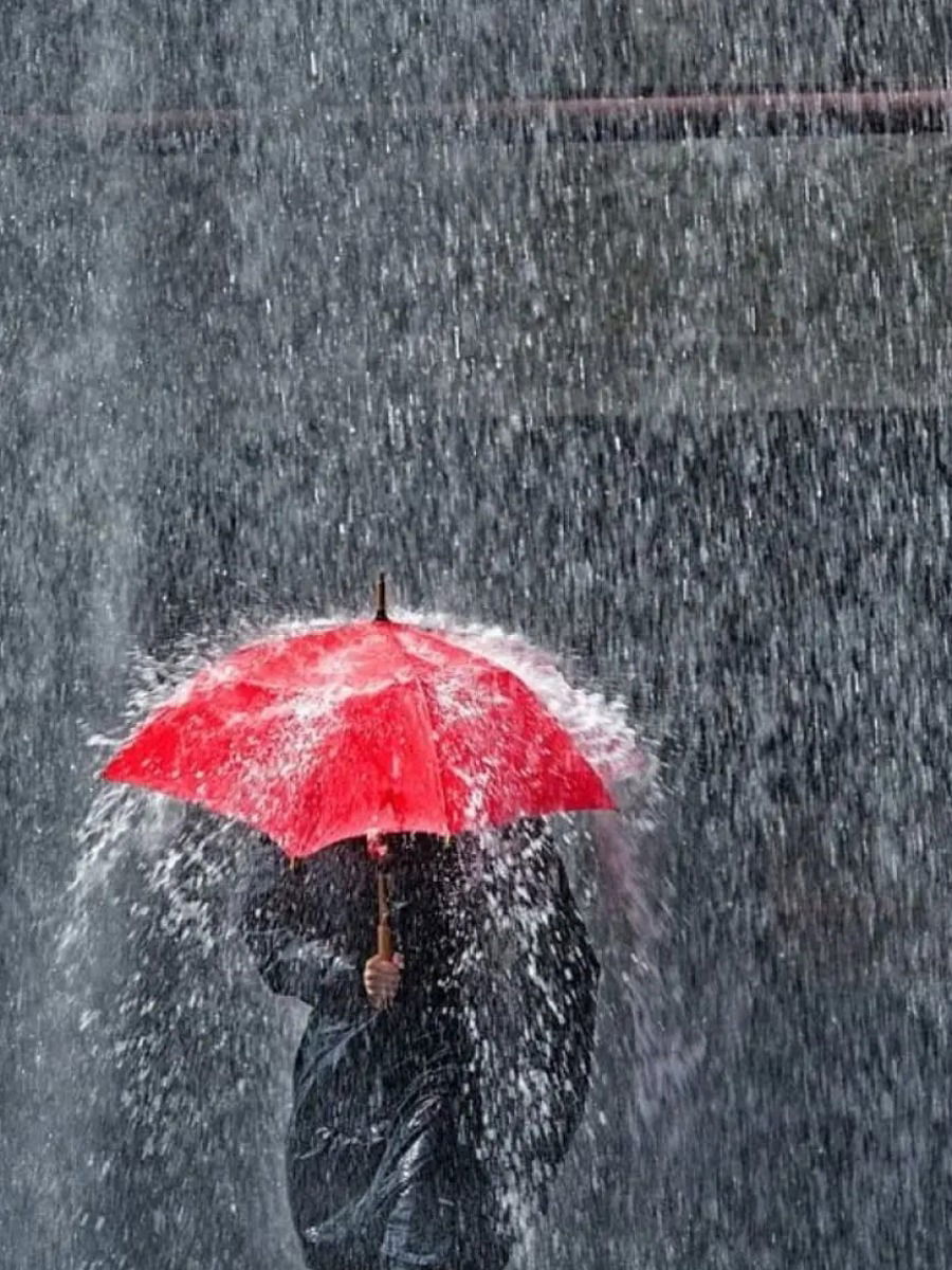 7 Magical Places to Visit in India During the Monsoon | 7 Magical Places to Visit in India During the Monsoon 7 Magical Places to Visit in India During the Monsoon | 7 Magical Places to Visit in India During the Monsoon